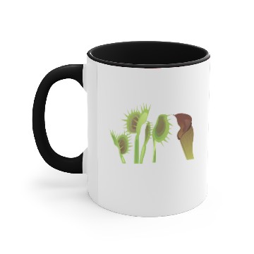 Discover Venus flytrap Carnivorous plant Accent Mugs