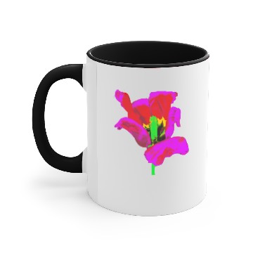 Discover Tulip Accent Mugs
