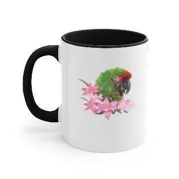 Discover Macaw Accent Mugs