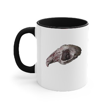 Discover Raw Rabbit Skull Accent Mugs