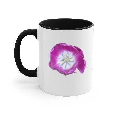 Discover Purple Tulip Flower Accent Mugs