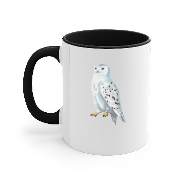 Discover Snowy owl/ hedwig Accent Mugs