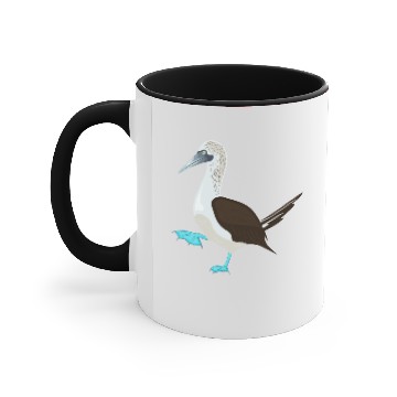 Discover Blue Footed Booby Bird Illustration Accent Mugs