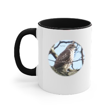 Discover Red-tailed Hawk in Central Park Accent Mugs