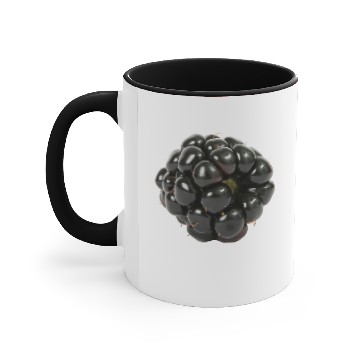 Discover Blackberry Accent Mugs