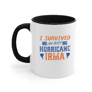 Discover I Survived Hurricane Irma Accent Mugs