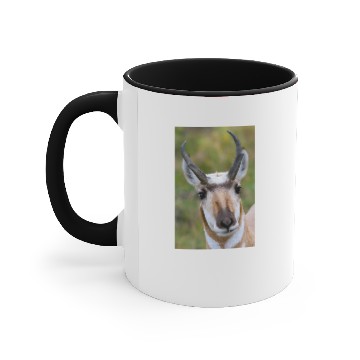 Discover Confidence Accent Mugs