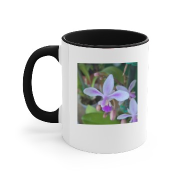 Discover Mini orchid up close Accent Mugs