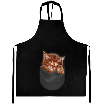 Discover Cat Paws Sleeping Orange Kitten Cat in Pocket Aprons