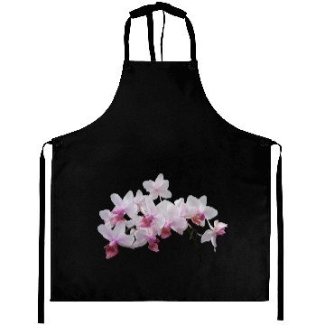 Discover Phalaenopsis Orchids Twilight Rainbow Aprons