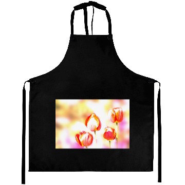 Discover High Key Tulip Quartet Aprons