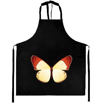 Discover Orange tip Aprons