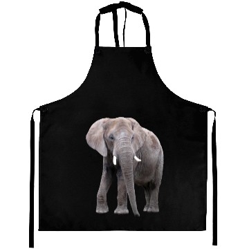 Discover Elephant Aprons