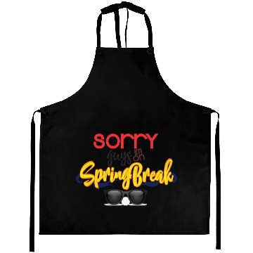 Discover Guys im on Spring Break Aprons