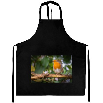 Discover Robin Aprons
