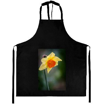 Discover Daffodil Aprons