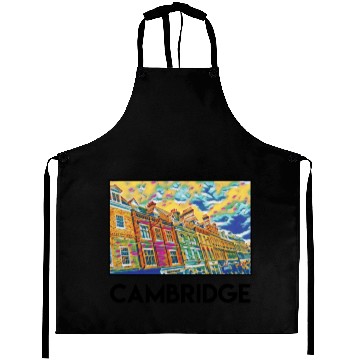 Discover Cambridge Holidays Vacation City Souvenir Aprons