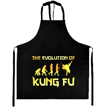 Discover Kung Fu Evolution Aprons