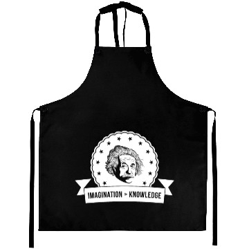Discover Albert Einstein Imagination Important Knowledge Aprons