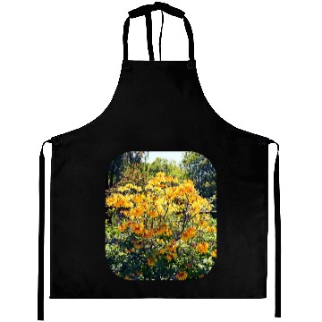 Discover Orange Azalea Aprons