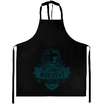 Discover Groundhog Worlds #1 Meteorologist Aprons