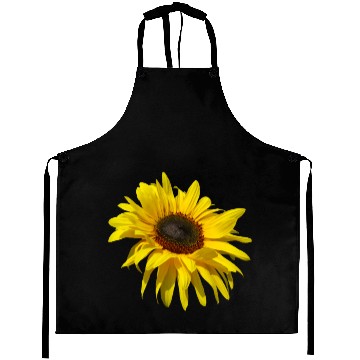 Discover blooming sunflower sunflowers blooms flowers petal Aprons