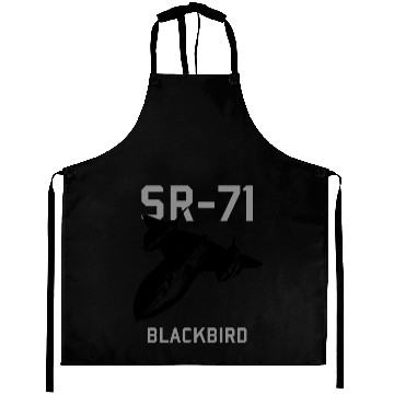 Discover SR 71 Blackbird Spy Plane Aprons