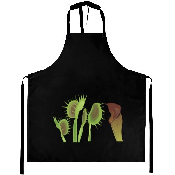 Discover Venus flytrap Carnivorous plant Aprons