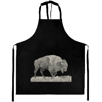 Discover Buffalo Drawing Aprons