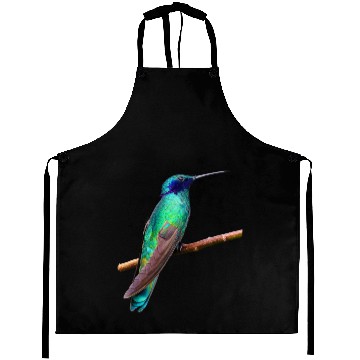 Discover Hummingbird Aprons