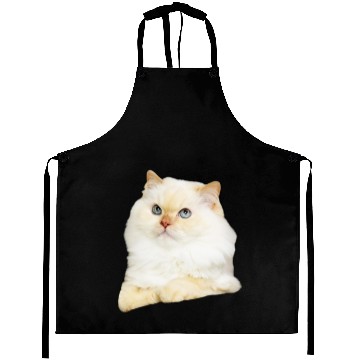 Discover Soft Kitty Aprons