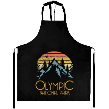 Discover Retro Olympic National Park Washington Mountains S Aprons