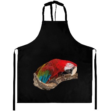 Discover red macaw Aprons