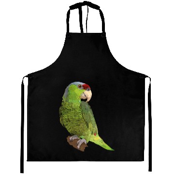 Discover Amazon Parrot Aprons