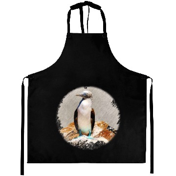 Discover Blue Footed Booby Aprons