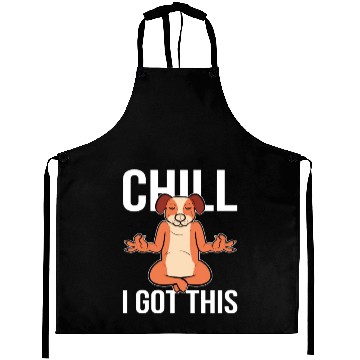 Discover I Got This Yoga Coach Gift Aprons