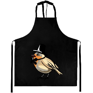 Discover Robin bird Aprons