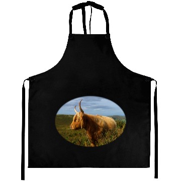 Discover Highland Cow Aprons