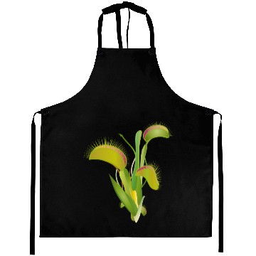 Discover Venus flytrap a fascinating houseplant Aprons