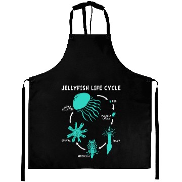 Discover Jellyfish Life Cycle Aprons