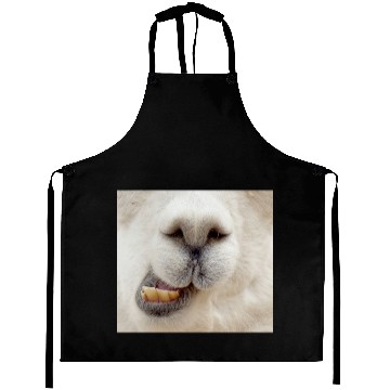 Discover Alpaca Aprons