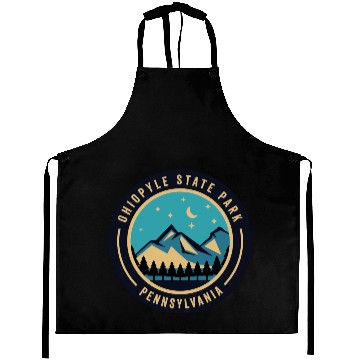 Discover Ohiopyle State Park Pennsylvania Aprons