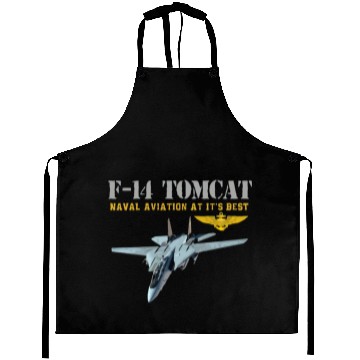 Discover F 14 Tomcat Naval aviation Aprons