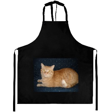 Discover Relaxed Orange Tabby Cat Illustration Aprons