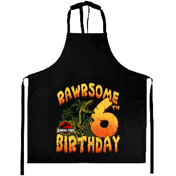 Discover Jurassic Park Rawrsome 6Th Birthday Aprons
