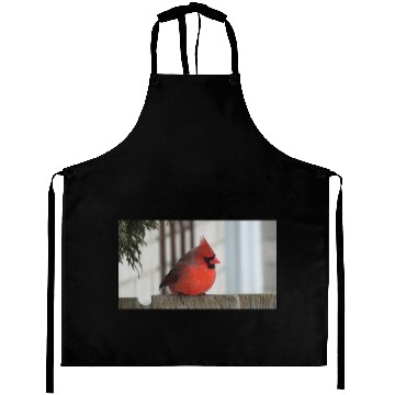 Discover Brilliant Cardinal Bird 2 Aprons