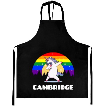 Discover Cambridge Massachusetts LGBTQ Gay Pride Rainbow Aprons