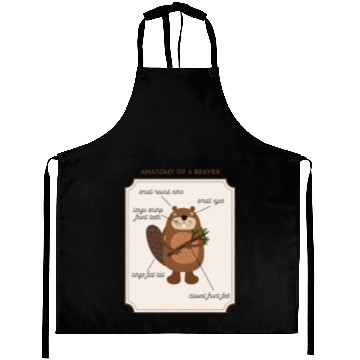 Discover Anatomy of a Beaver Aprons