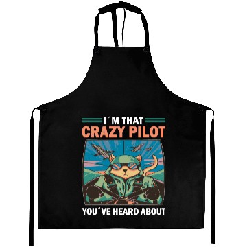 Discover Crazy pilot youve heard about airplane aviation Aprons