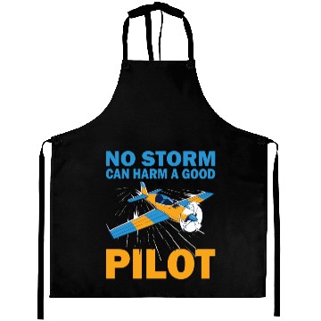Discover Pilot no storm can harm airplane aviation aircraft Aprons